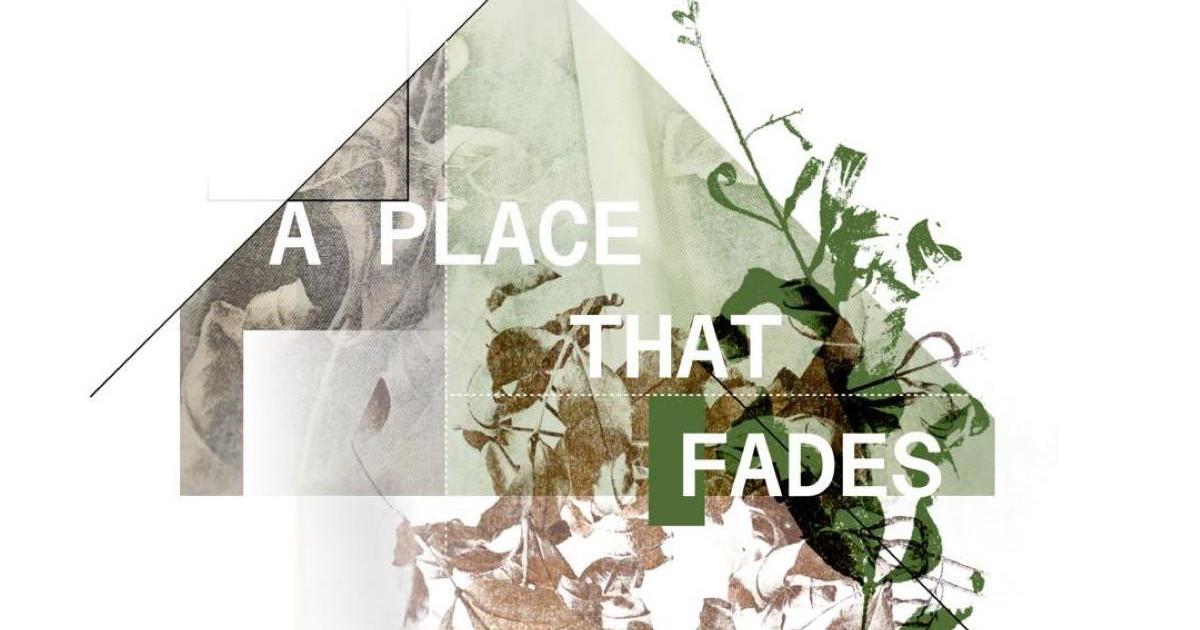 A reflection on the disappearance of our green spaces