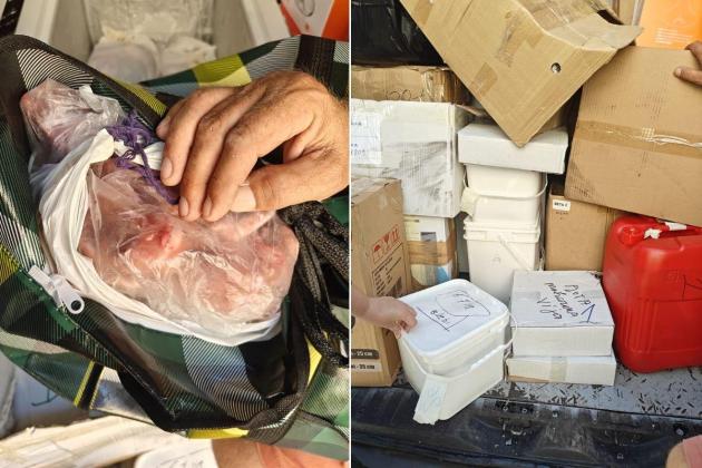 Van full of 'unsafe' food from Albania intercepted before reaching consumers
