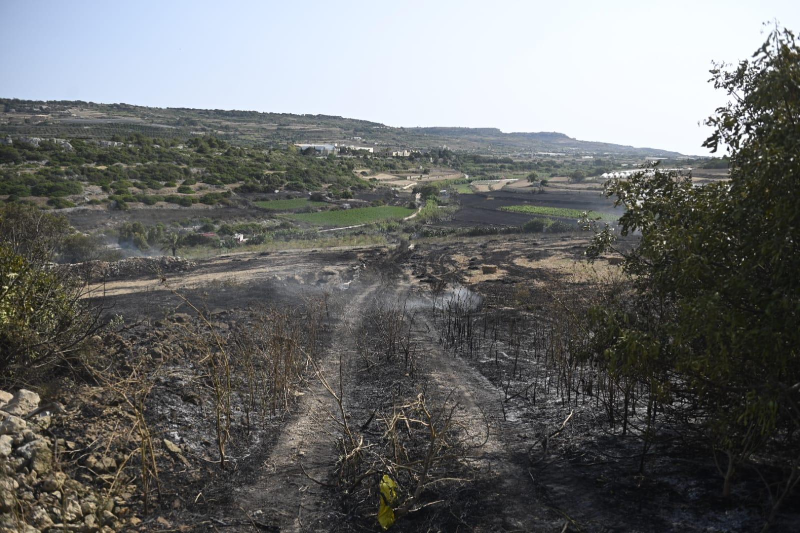 The result of the large grass fire in Mġarr valley. Photo: Matthew Mirabelli
