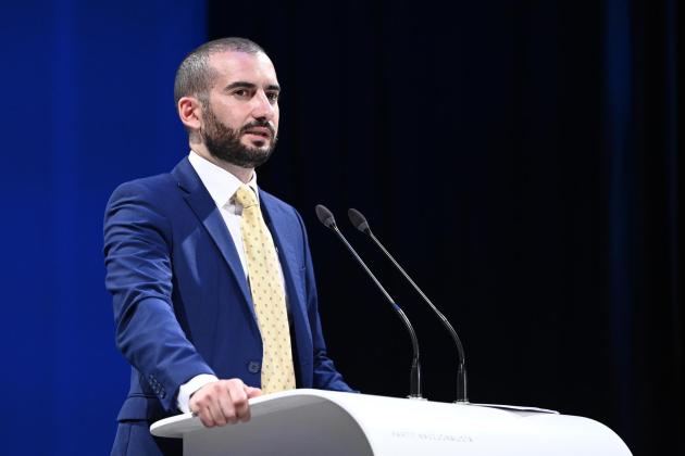 Law needed to stop pre-election abuse of power - PN council president