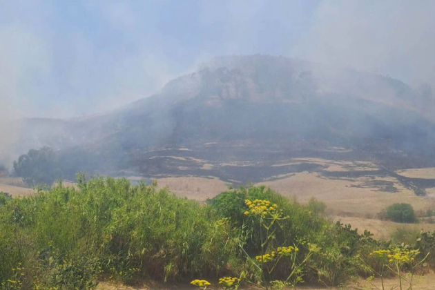 Firefighters put out large blaze near Victoria