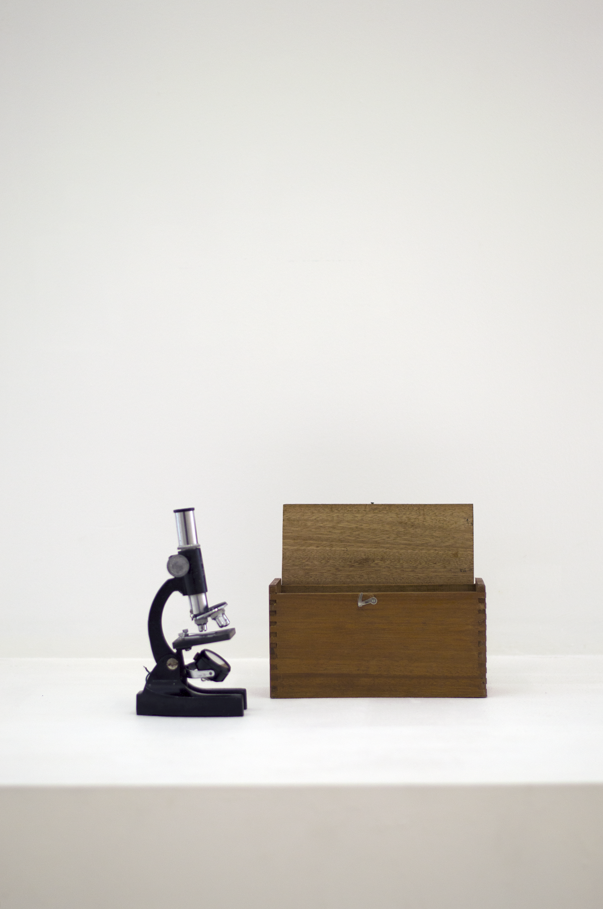Microscope to remember Brian Rosso. Photo: Borg Wirth