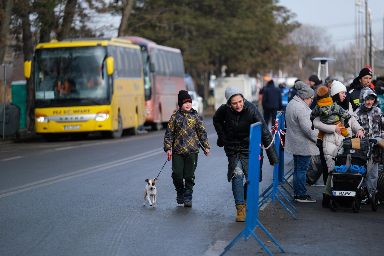 A child's best friend: a boy walks his dog as he crosses the border. Photo: Jonathan Borg