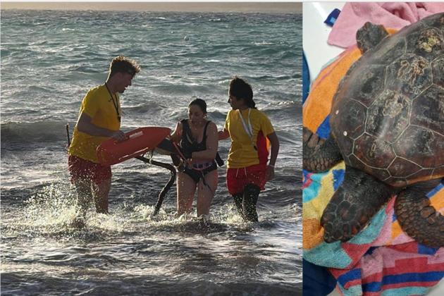 Life Guards, Nature Trust volunteers rescue turtle in distress in Little Armier