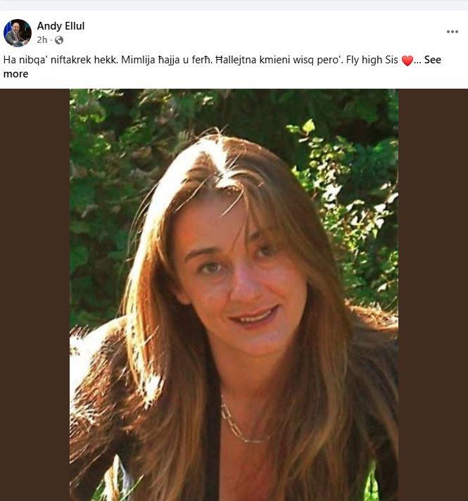 Andy Ellul's post.