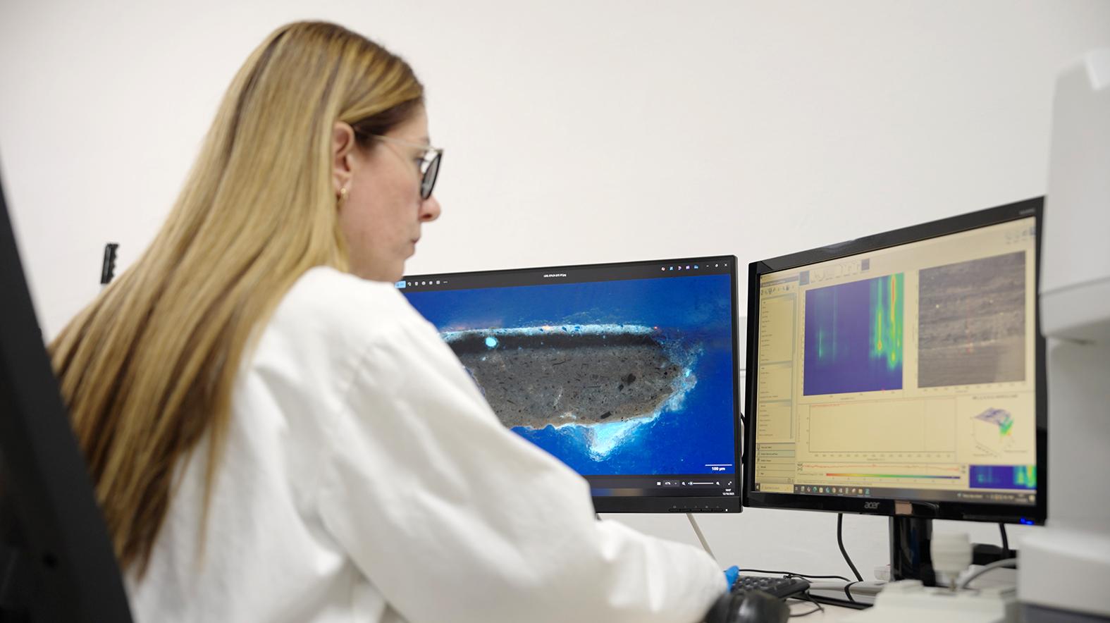 Pigment analysis using infrared microspectroscopy.