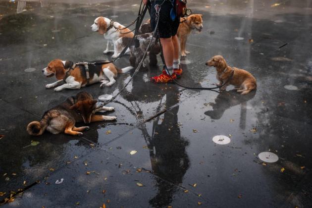 Red alerts issued in Spain, Italy, as Europe grapples with heatwave