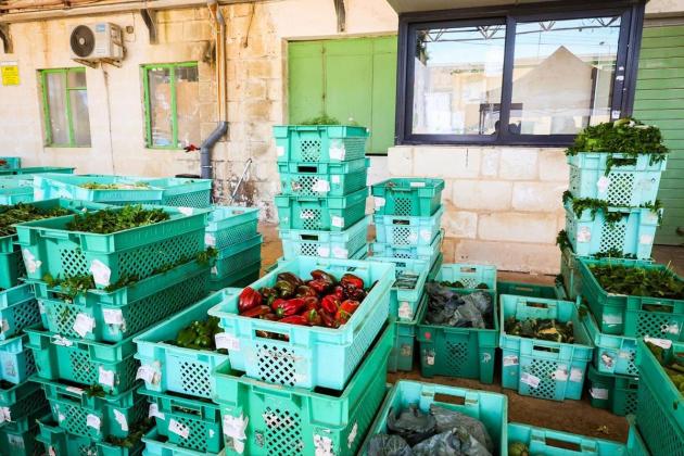 Ta’ Qali to get new 'better organised' Farmers’ Market and food hub