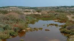 The Natura 2000 reserve.