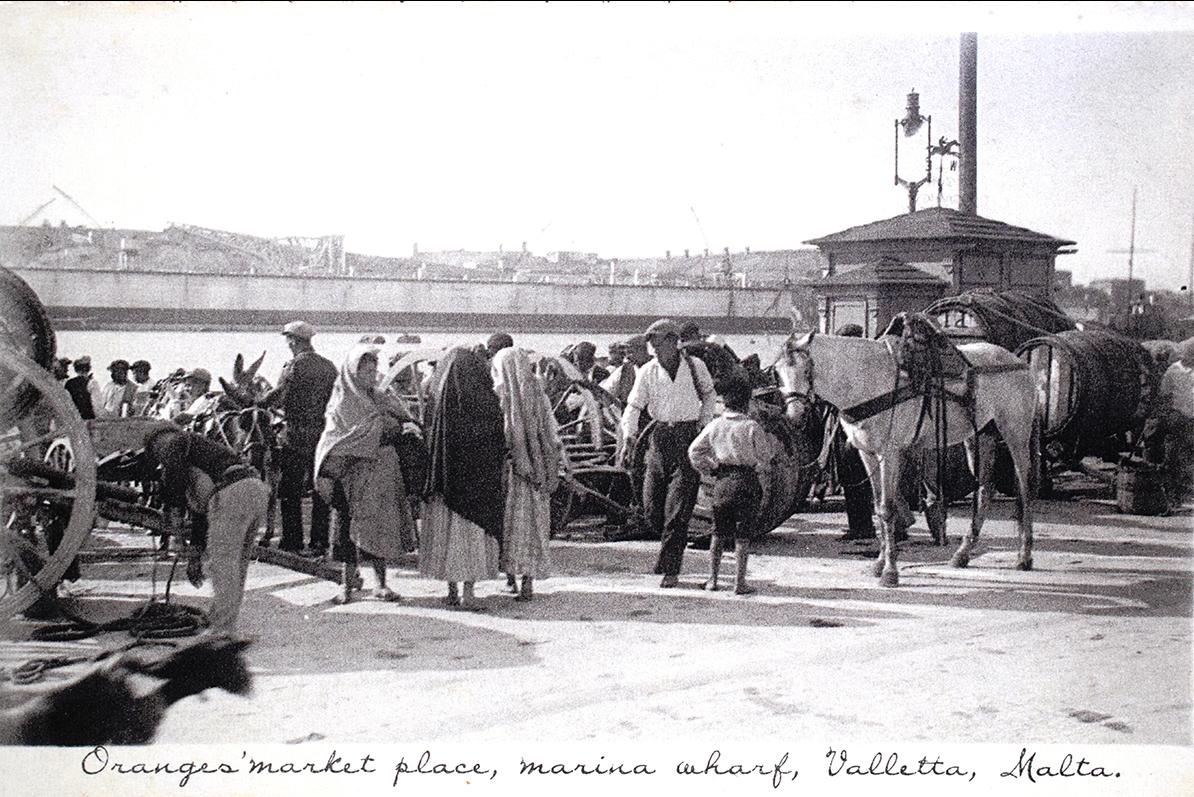 The orange market in Marina Wharf, Grand Harbour