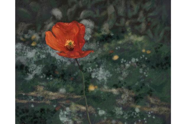 Art: Yang Tang invites viewers into ‘Two Springs’