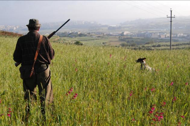 Momentum, ADPD, BirdLife slam PL, PN over comments about hunting