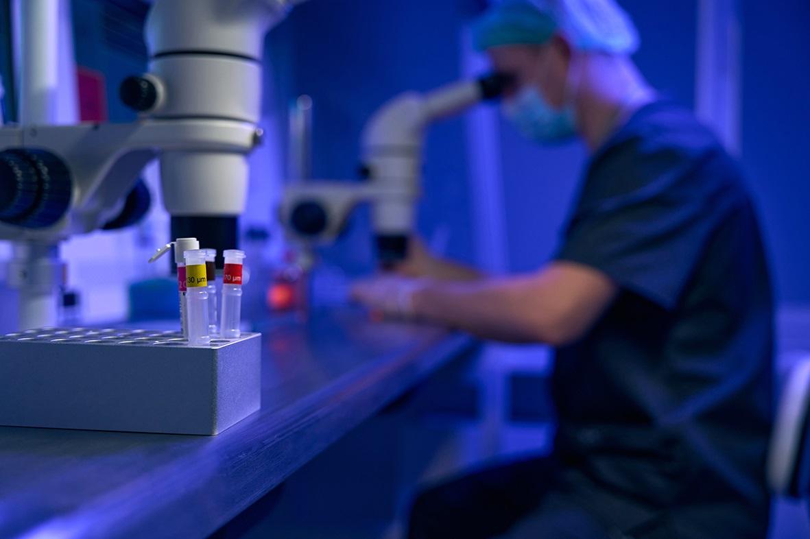 Samples being examined in a lab. Photo: Shutterstock.com