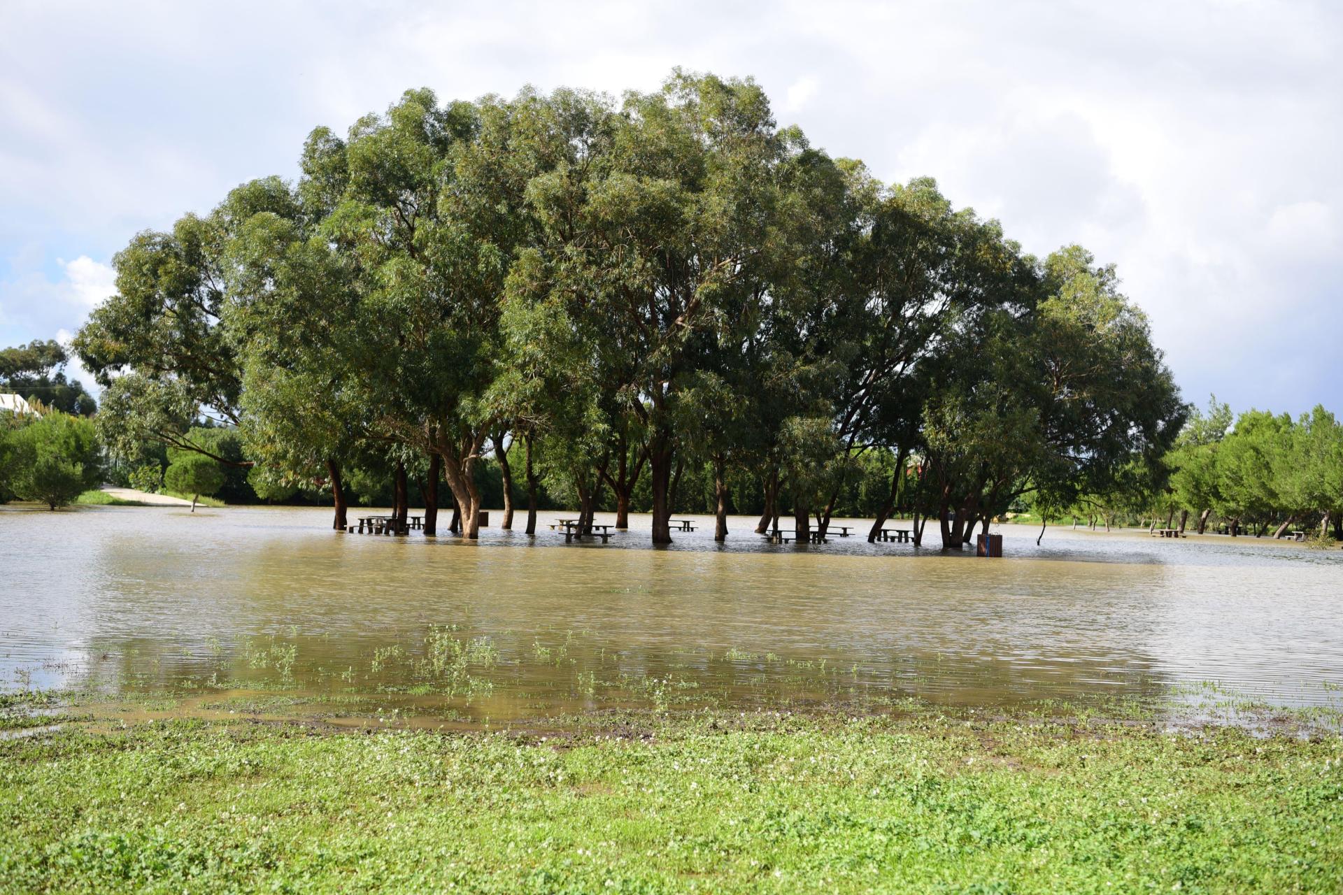 The flooded picnic area after a downpour in October 2018. File photo: Mark Zammit Cordina