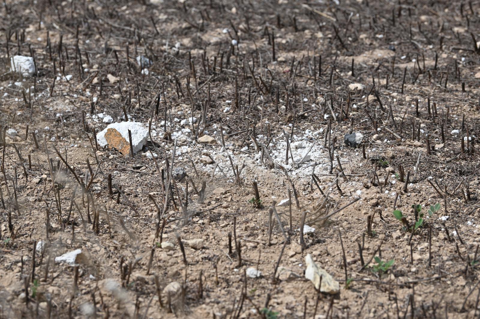 Crops in the surrounding fields have been burnt to cinders. Photo: Matthew Mirabelli