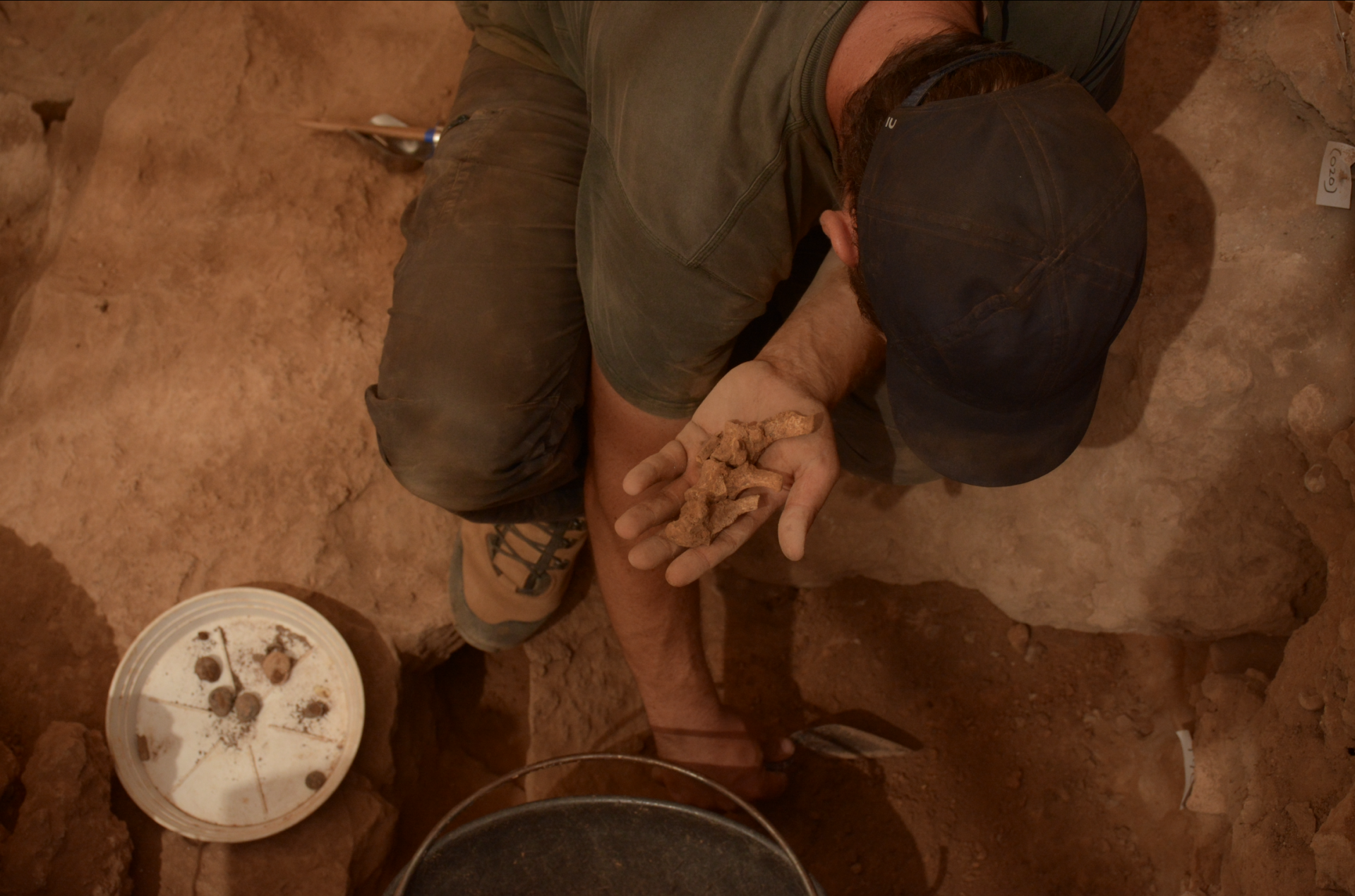 Bones from the Mesolithic period collected from the Mellieħa cave. Photo: Eleanor Scerri