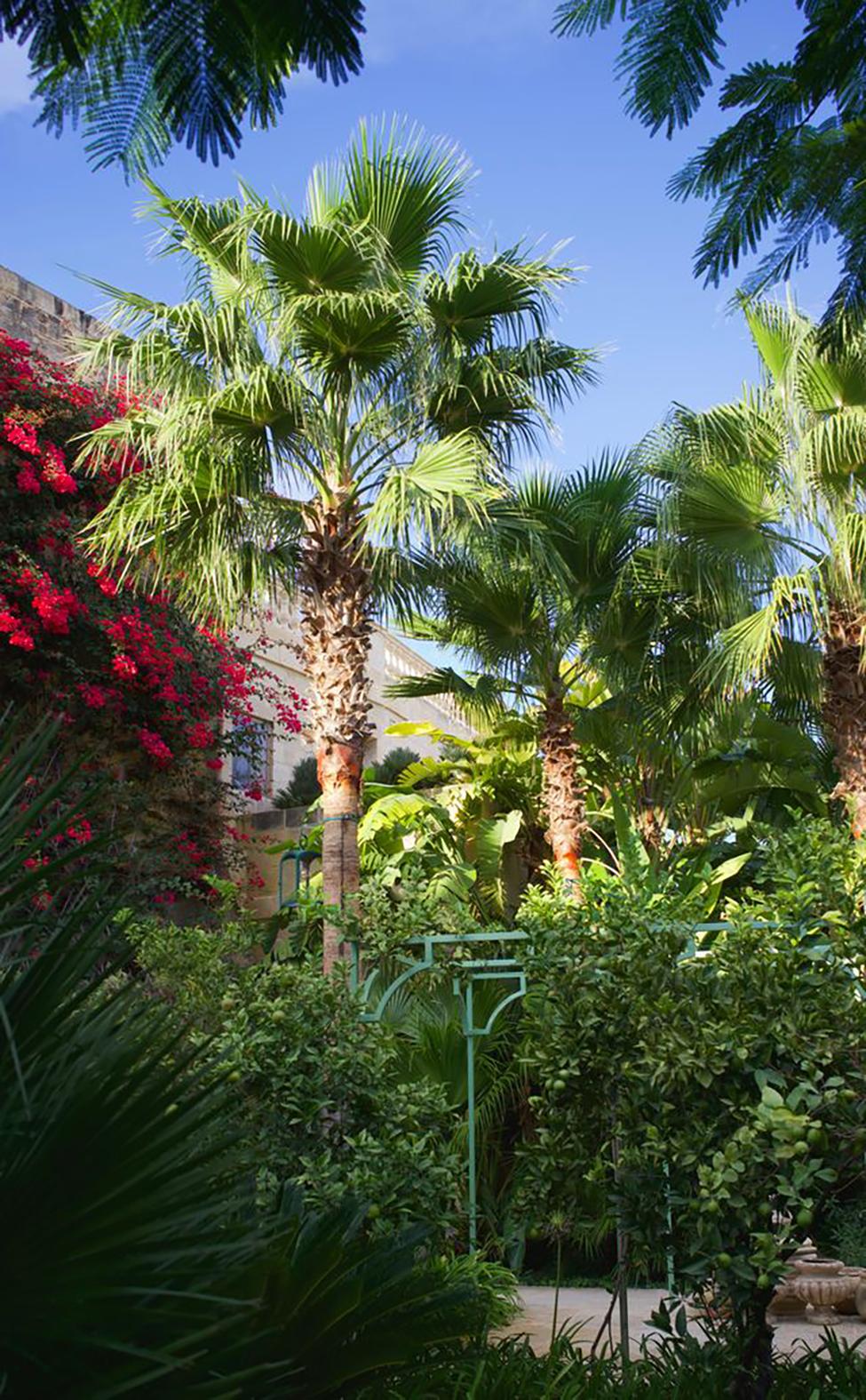 The lush gardens of Casa Bonavita. Photo: Boz Gagovski