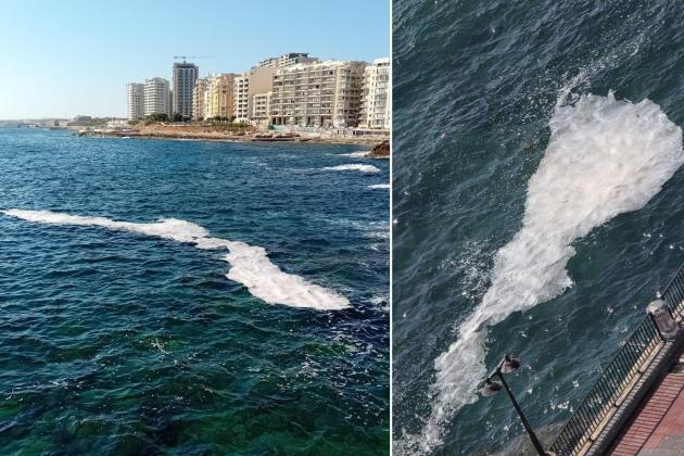 White foam-like slicks besiege Sliema coast, but experts say it's not fish slime