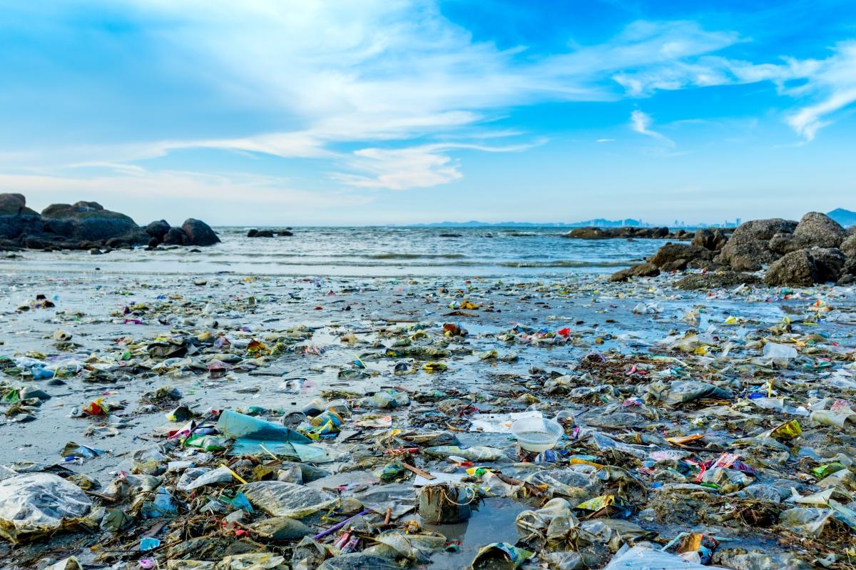 Plastic pollution harming the environment, including our seas, Ecuadoran diplomat warns. Photo: Shutterstock.