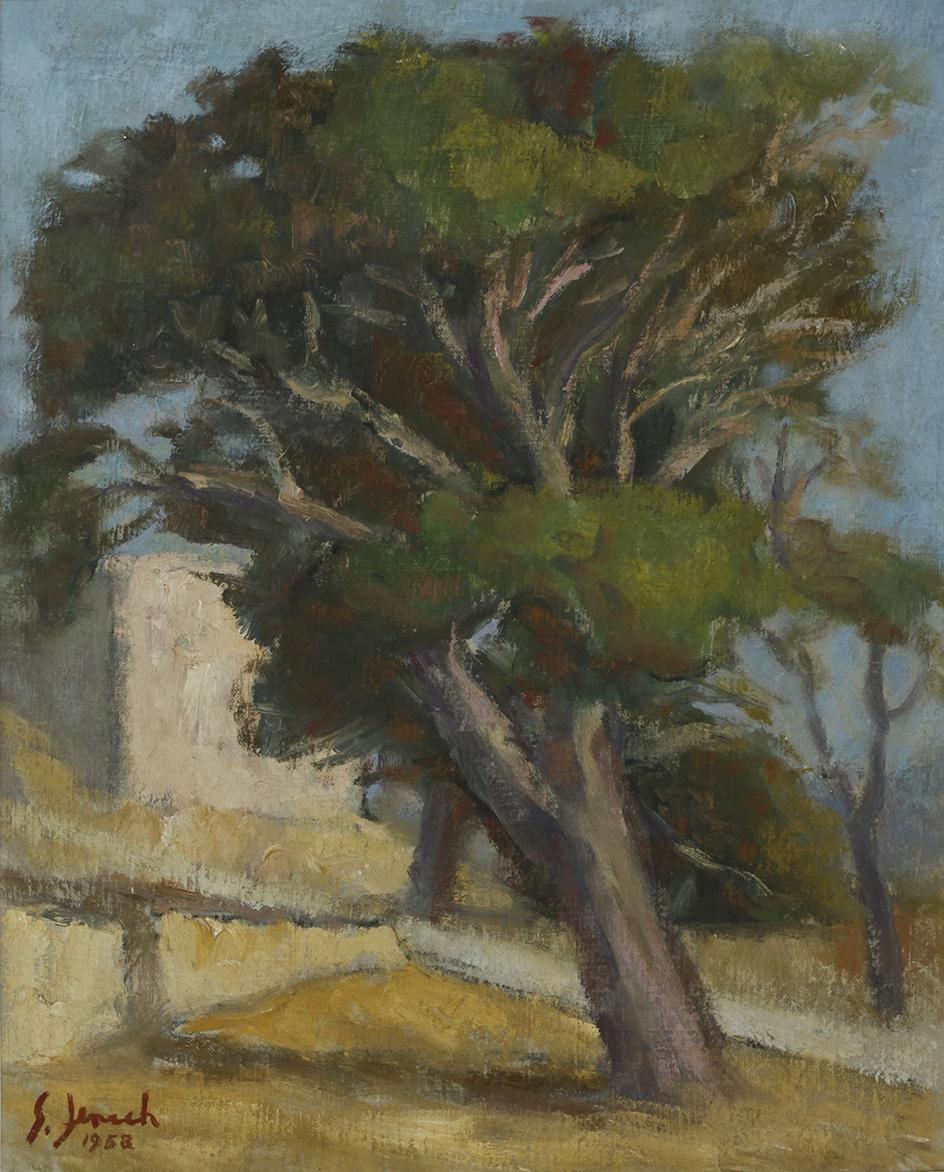 <em>The Pine Tree</em> (1958)