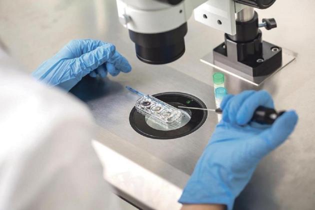 Concerns over expanded list of genetic testing in IVF procedures