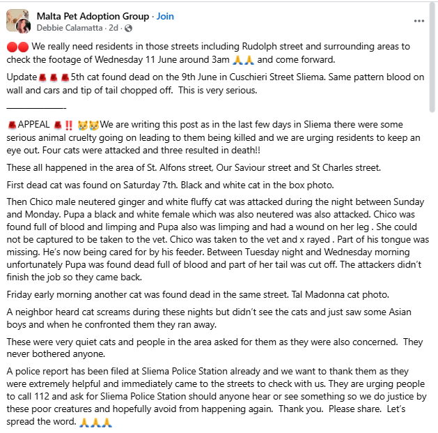 The Facebook post highlighting the horrific animal abuse cases happening in Sliema. Photo: Facebook