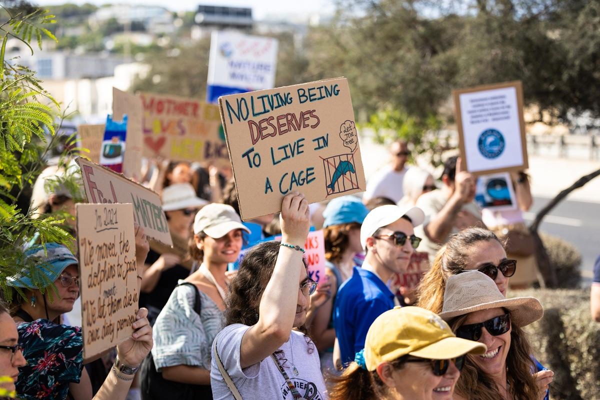 Some of the protesters outside the Mediterraneo Marine Park on Saturday. Photo: Earth Systems Association