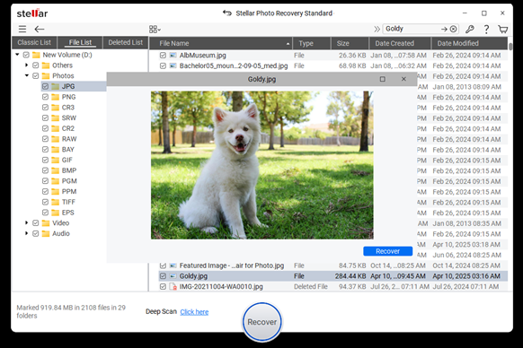 Stellar restores the selected photos and you&rsquo;ve successfully brought back lost memories.