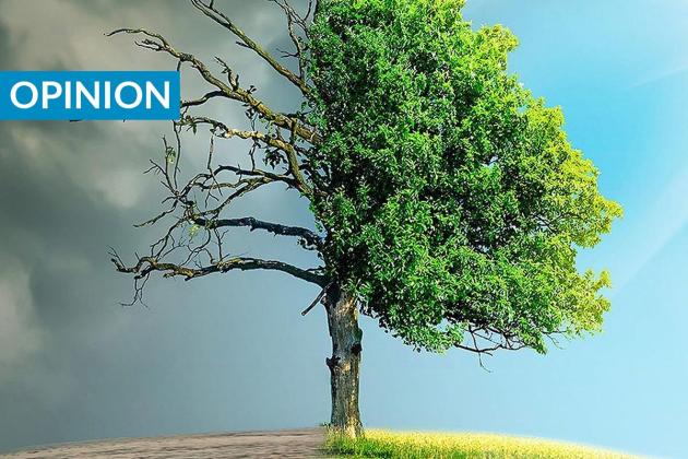 Can the climate crisis unite Europe?