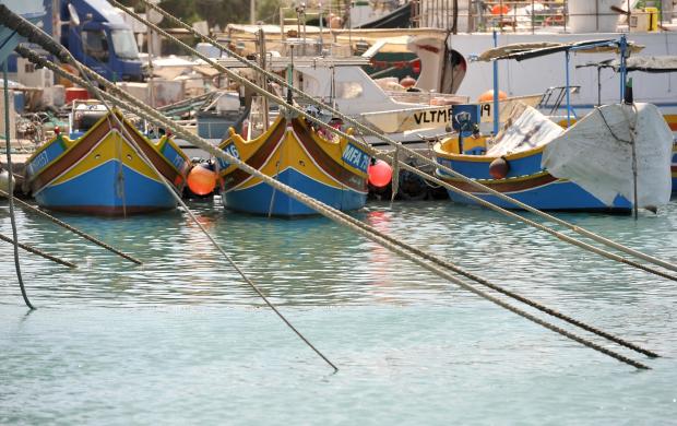 Ropes secure fishing vessels at the Marsaxlokk fishing port on July 26. Photo: Chris Sant Fournier