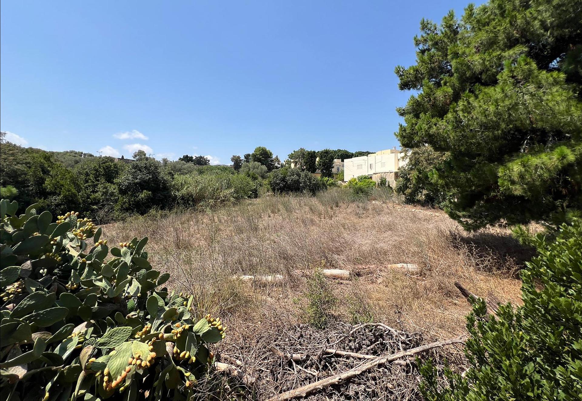 The vacant plot of land. Photo: Chris Sant Fournier