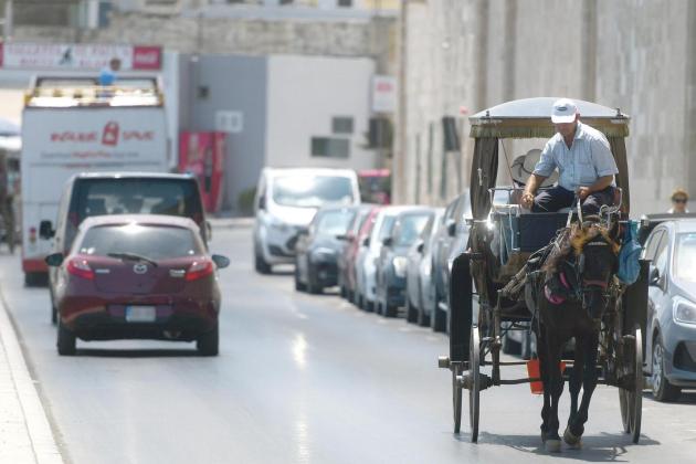 Horses should be taken off the streets during high temperatures, NGOs insist
