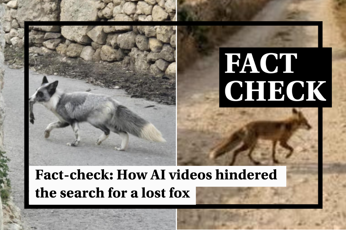 https://cdn-attachments.timesofmalta.com/d0c7298c6f0dc119db5ac714b0c52ce131a2a6eb-1767709113-c04ad658-1920x1280.png