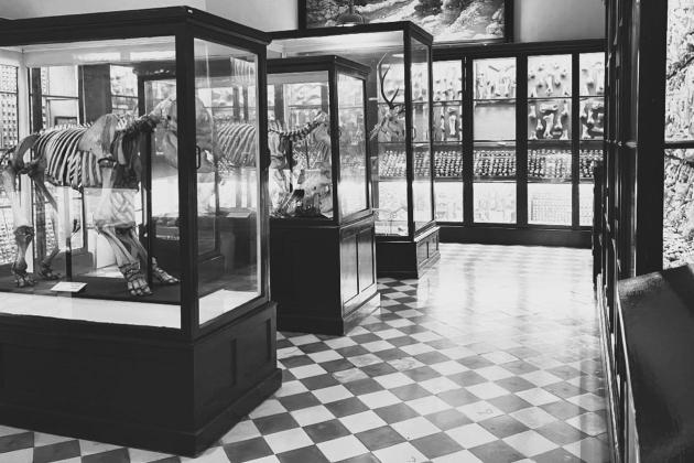 In pictures: Museum displays in early Malta