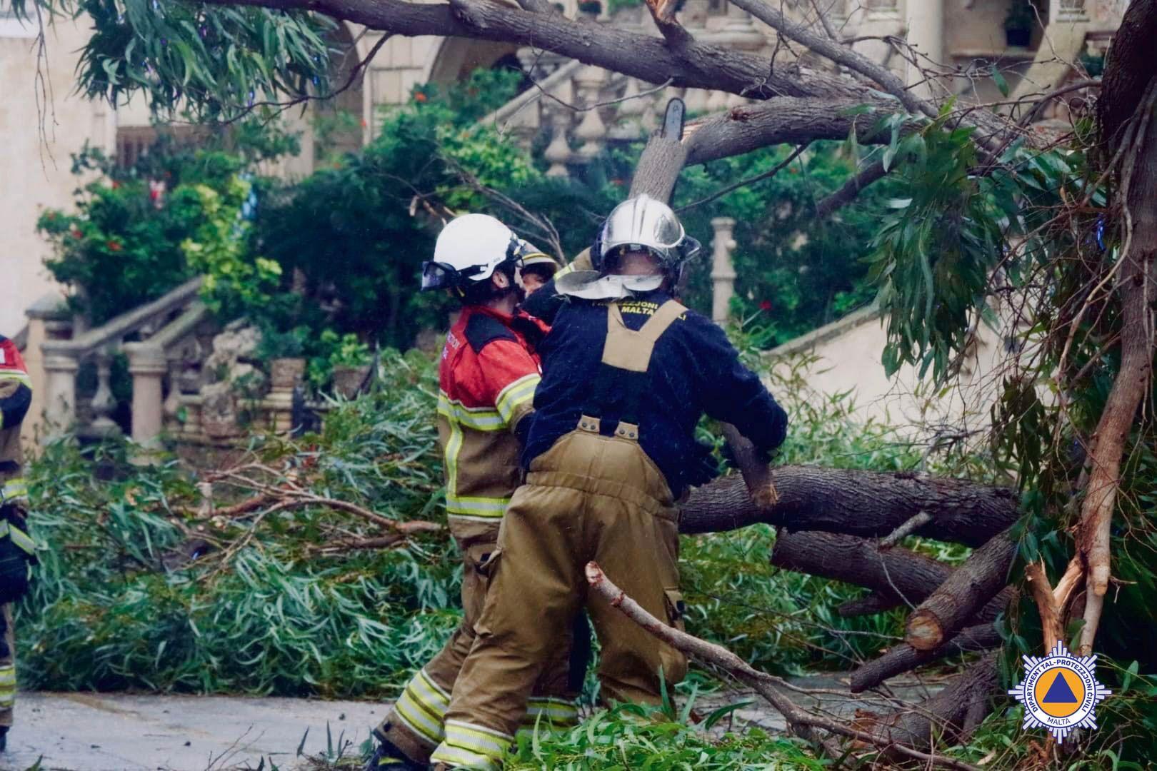 Members of the Civil Protection Department attend to one of hundreds of tree obstructions during Storm Harry. Photo: CPD
