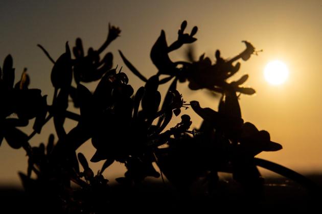 Spring ends drier than usual despite wet March