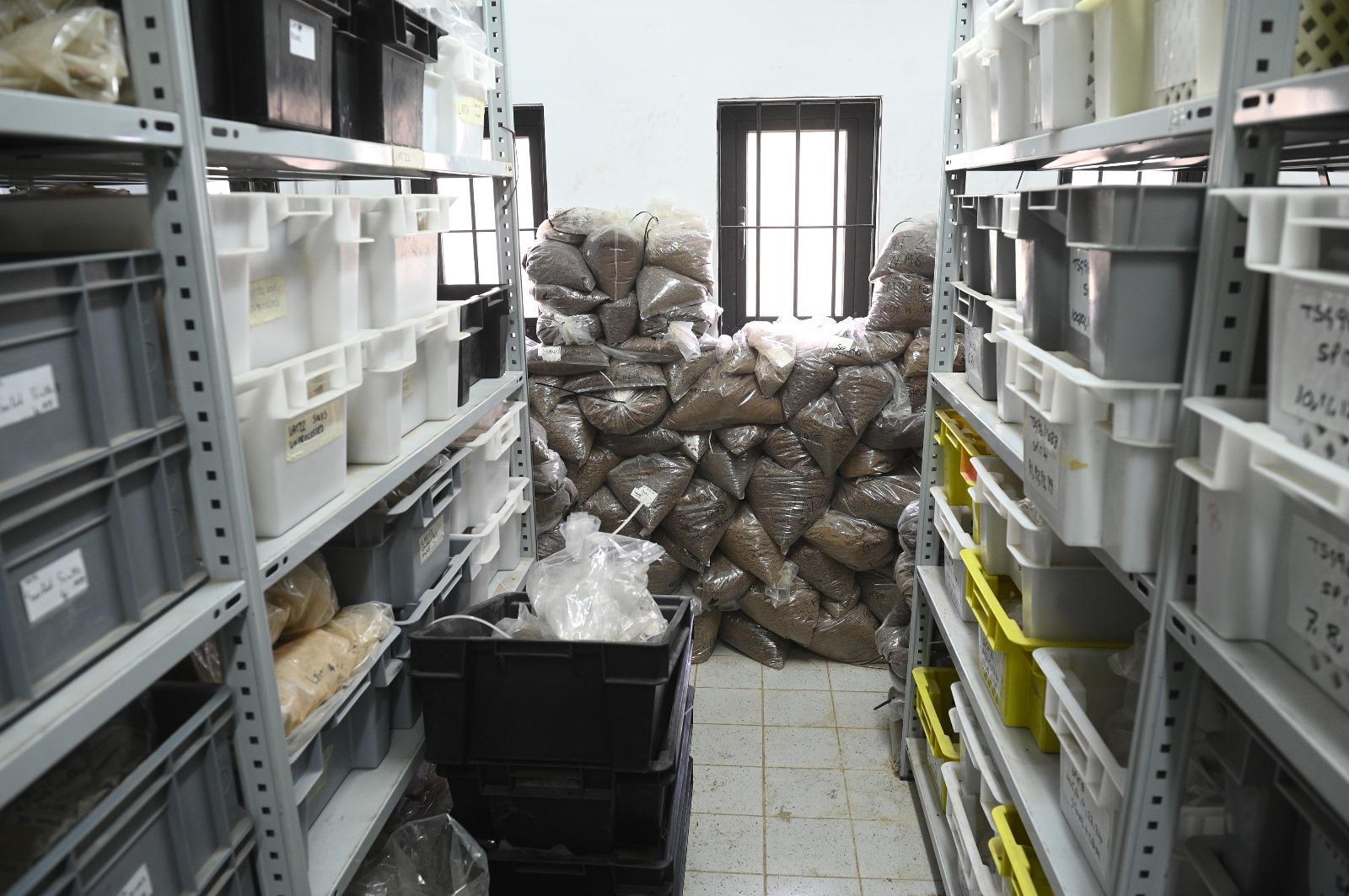 The store at the archeology department of the University of Malta where the scientists are keeping the remains as they continue to perform testing. Photo: Matthew Mirabelli