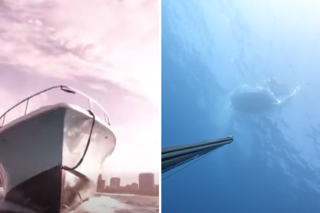 Freedivers and spearfishers urge boaters to be more careful after near misses