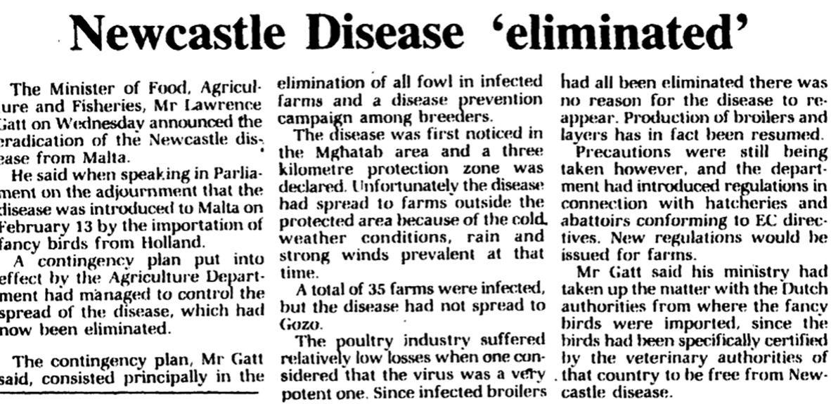 A Times of Malta article dating back to 1993 reported how 35 farms were infected by the disease. Photo: Times of Malta