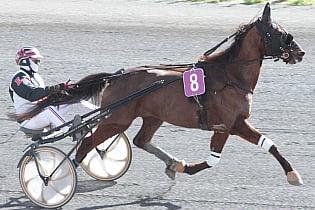 Etienne Farrugia and his racehorse Love Your Choice on the Marsa track