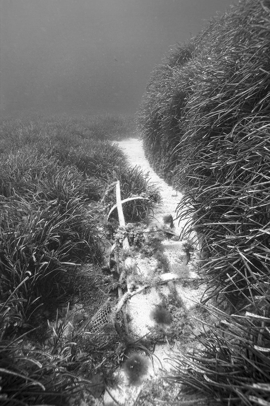 <em>Harmful Abandonment I</em>, 2015