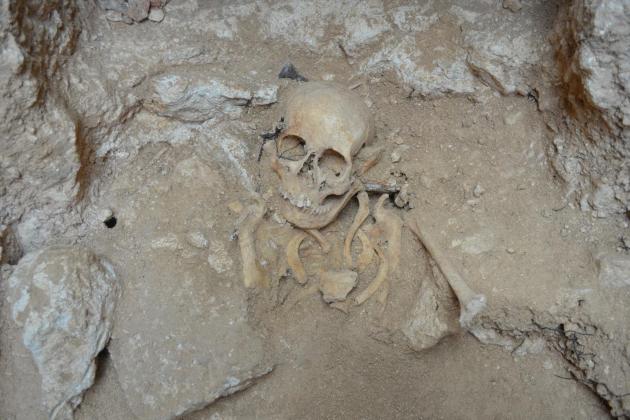 2,000-year-old skeleton of young woman to have 'full-body reconstruction'