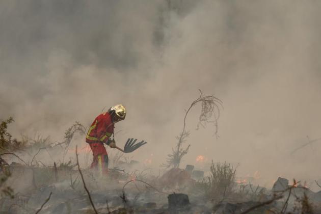 Threatened by fire, Bordeaux is 'ready for anything': mayor