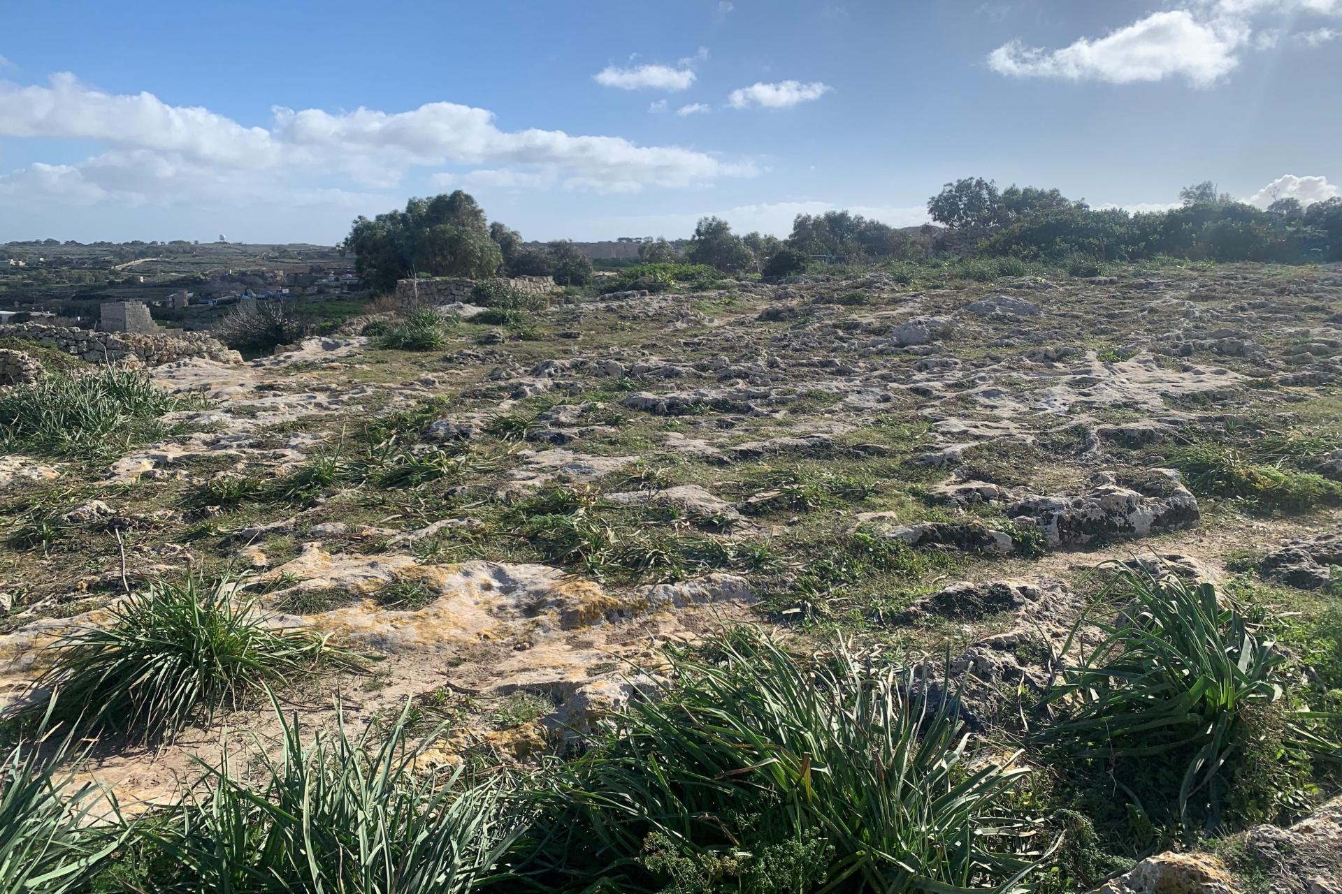 The re-instated site after the filming.