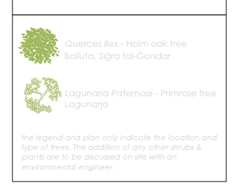 The trees mentioned in the plans submitted by XYZ Ltd.
