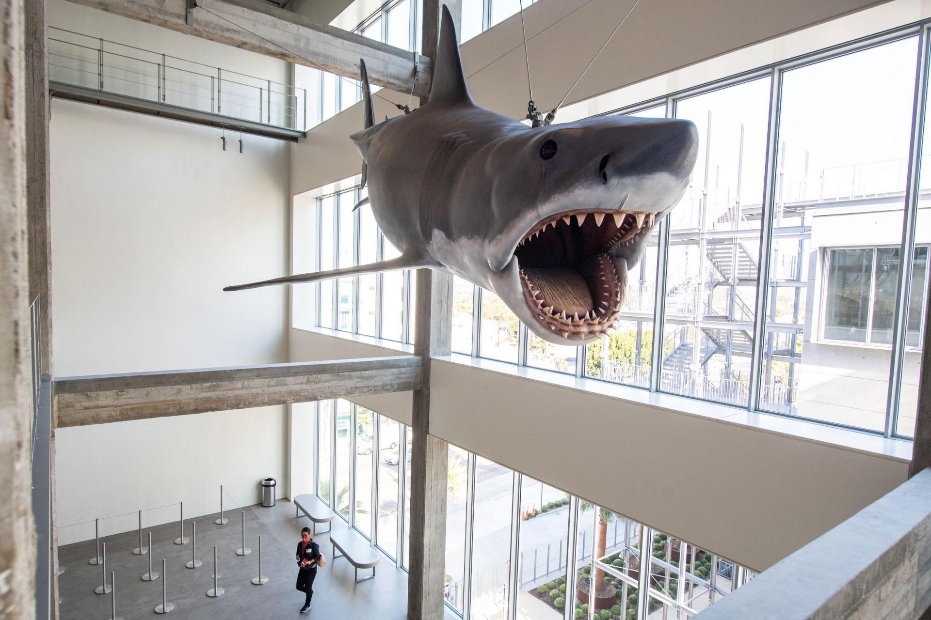 &lsquo;Bruce&rsquo;, the animatronic shark from the movie &lsquo;Jaws&rsquo;. Photo: Valerie Macon/AFP